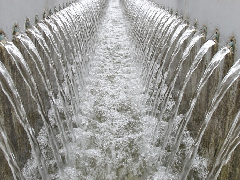 暴雨天氣后，怎樣安全飲用水，記住這三